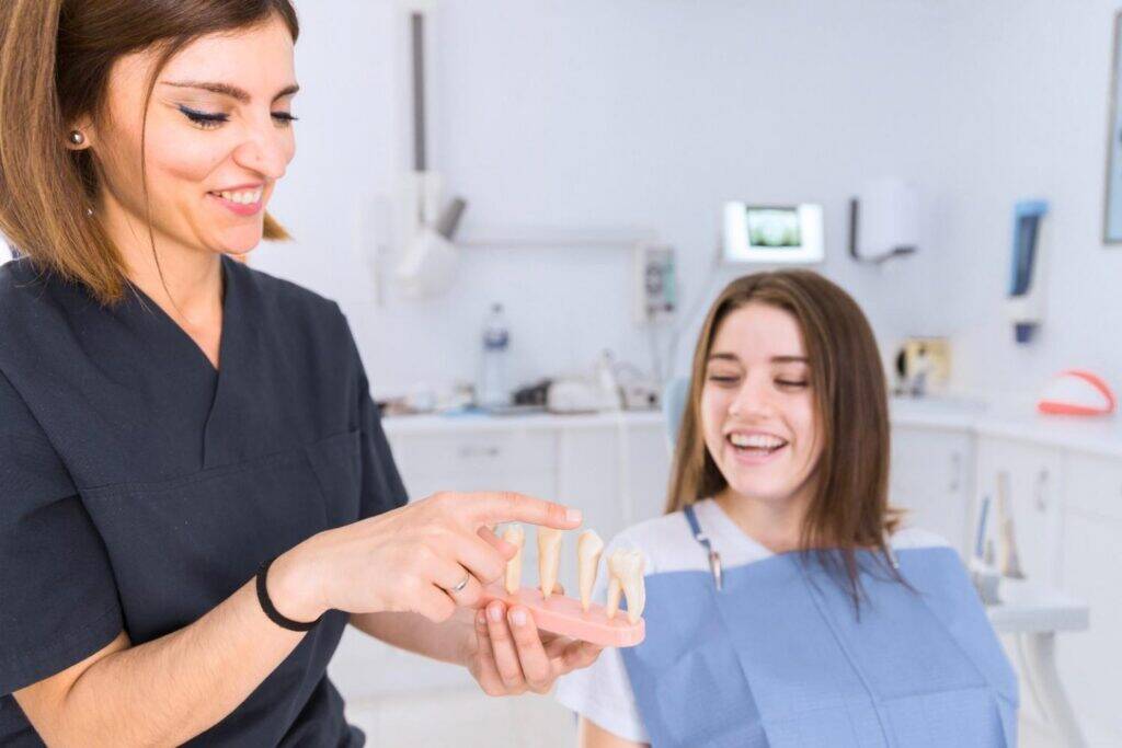 Dentist explaining a tooth model to a patient