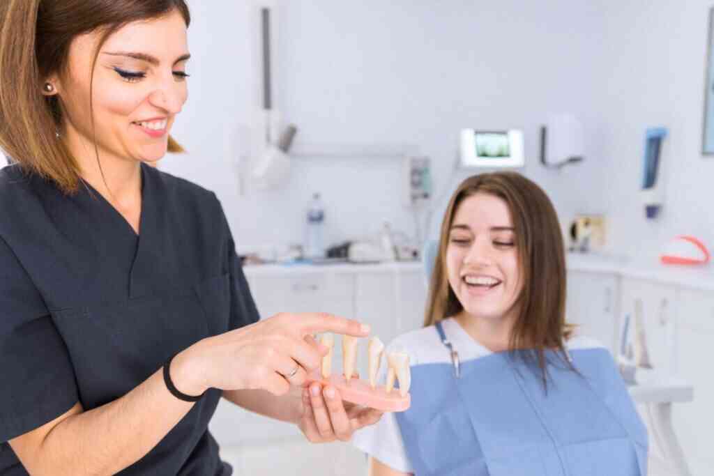 Dentist explaining a tooth model to a patient