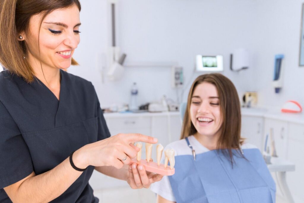 Dentist explaining a tooth model to a patient